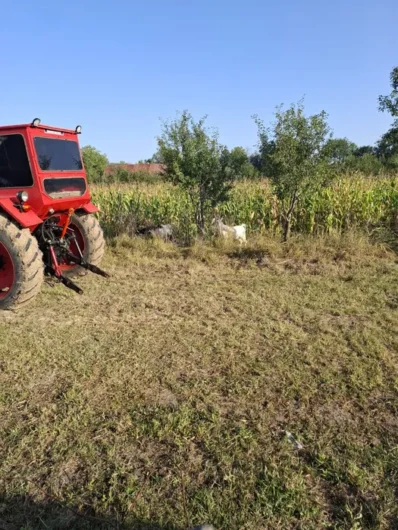 Vând tractor u650