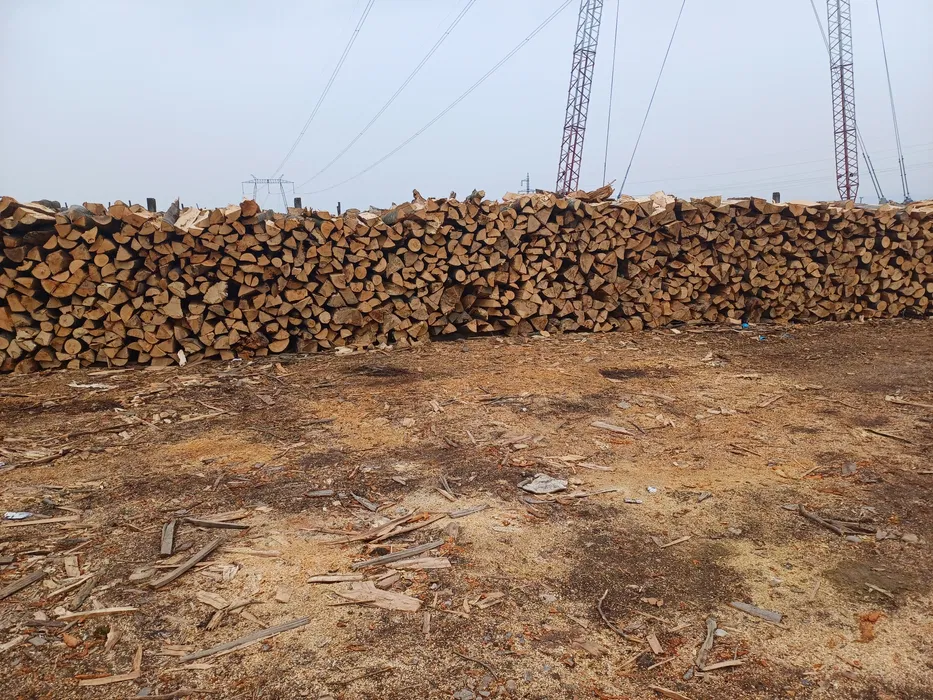 Lemn de foc- „”FAG””