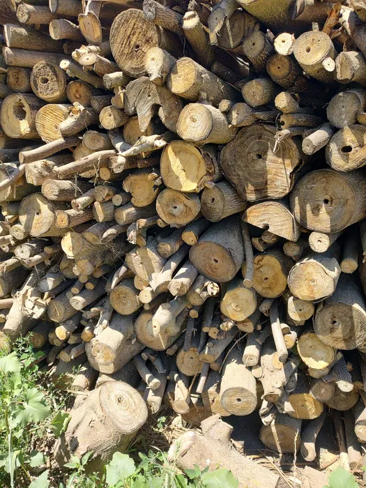 lemne de foc plouate