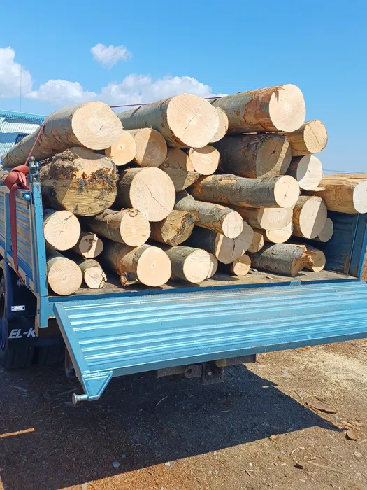 Lemn de foc- „”FAG””