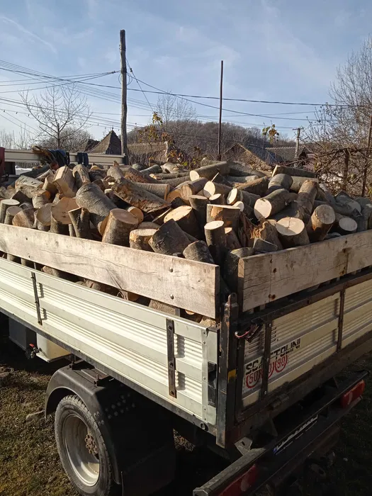 Vând lemne pentru foc