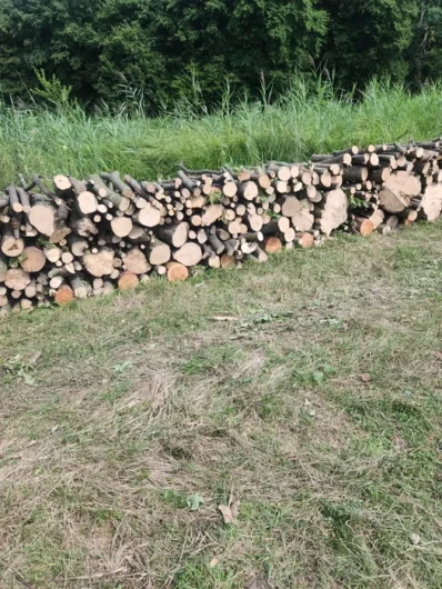 lemne de foc ludus