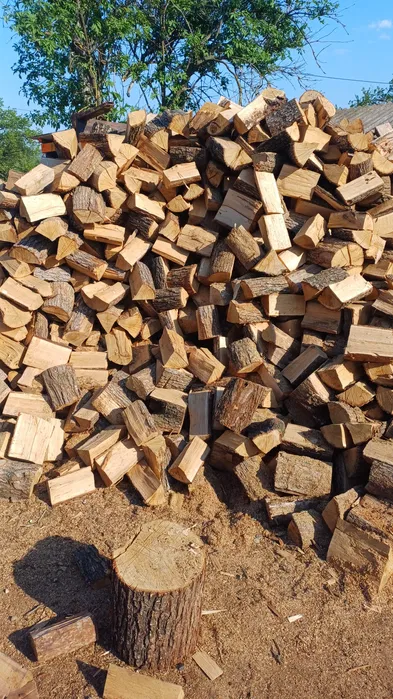 Lemne foc..Fag+ diverse tari