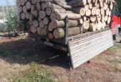 Sc Vindem lemn de foc adus acasă la client