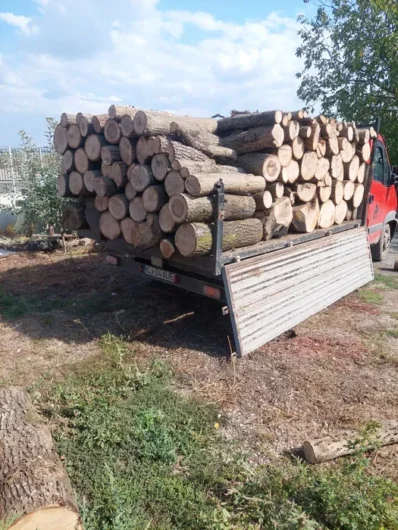 Sc Vindem lemn de foc adus acasă la client