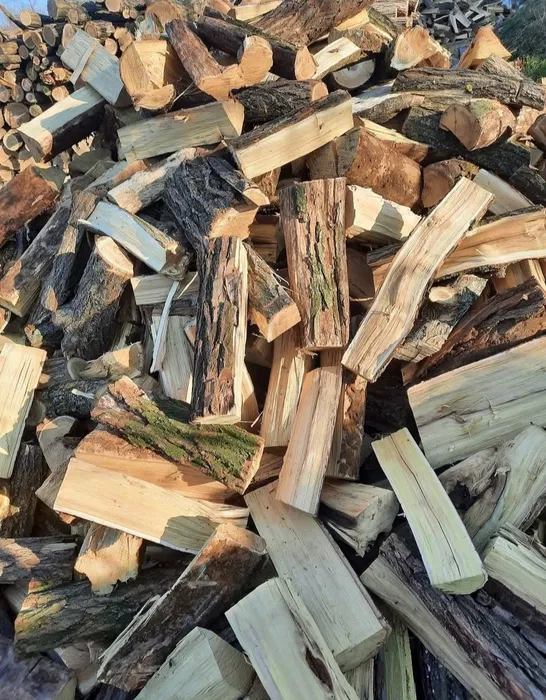 Lemn de foc salcâm uscat sau verde 700 tona /400metrul