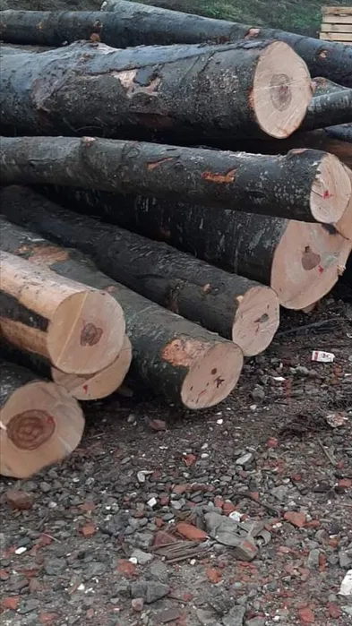 Lemn de foc-CEL MAI MIC PREȚ