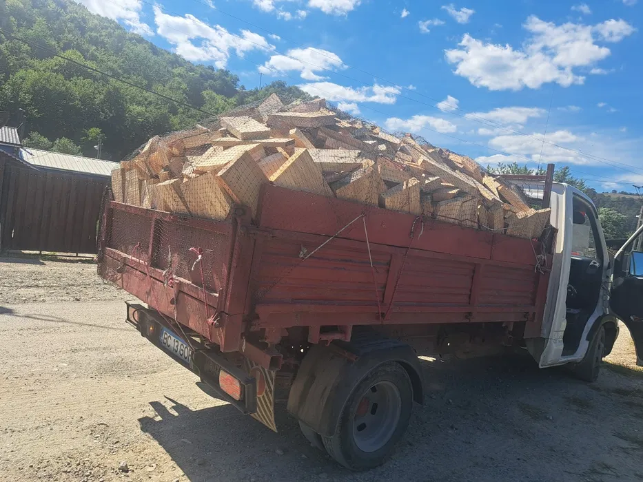 lemn fag si fag bacau