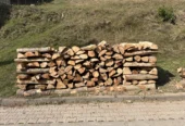 Vand lemn de Foc : Fag , Brad