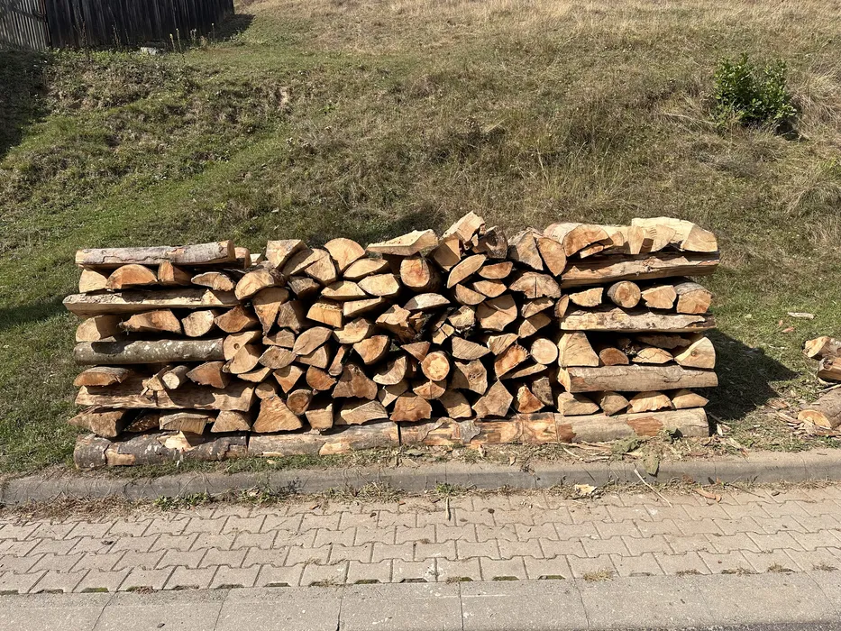 Vand lemn de Foc : Fag , Brad