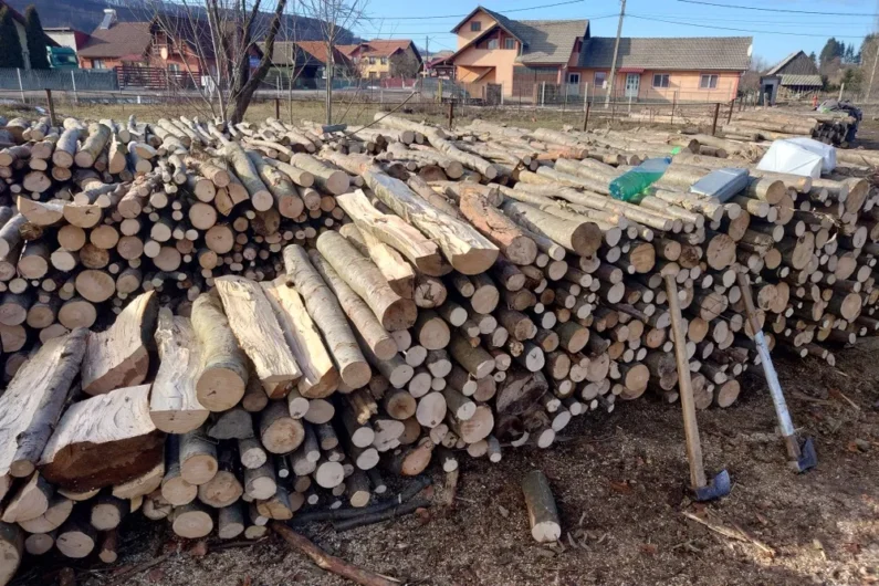 Lemn foc fag din rărituri