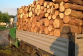 Vand lemne de foc