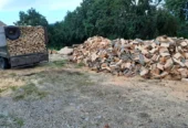 Lemn de foc de FAG