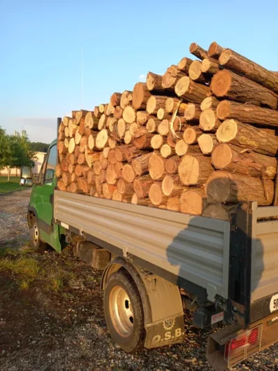 Vand lemne de foc