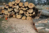 Sc Vindem lemn de foc adus acasă la client