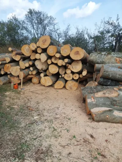 Sc Vindem lemn de foc adus acasă la client