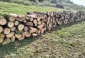 Vand lemne de foc esenta tare carpen cu stejar