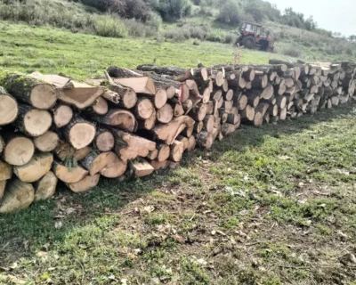 image-5-3