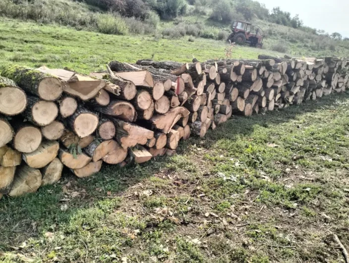 Vand lemne de foc esenta tare carpen cu stejar