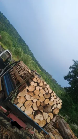 vand lemne de foc esenta tare