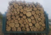Lemn pentru foc(Carpen,Fag,Salcam)