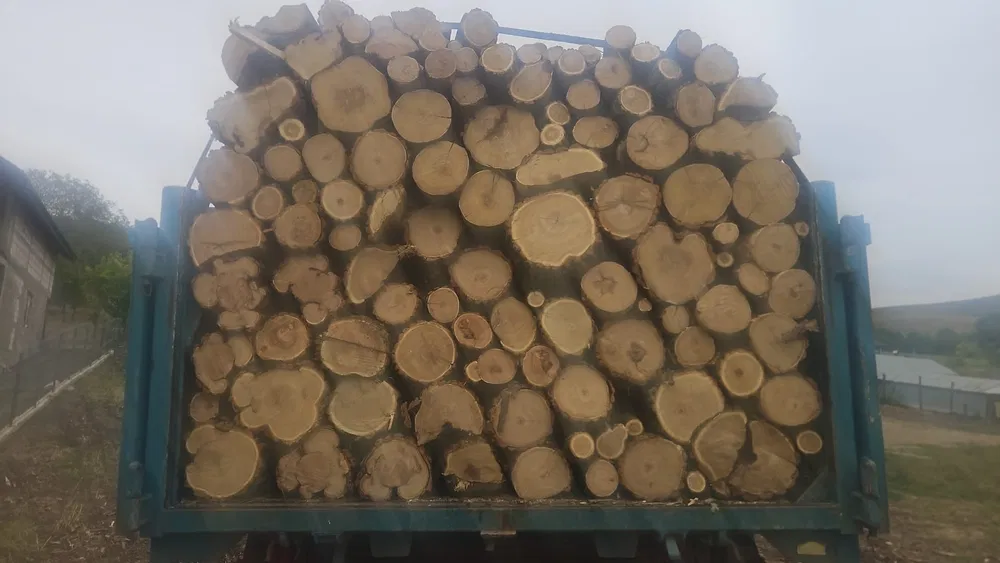 Lemn pentru foc(Carpen,Fag,Salcam)