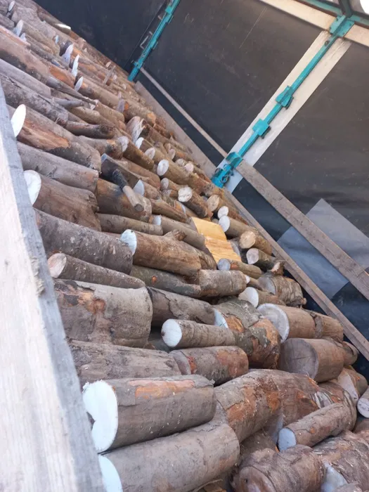 Lemn de foc-CEL MAI MIC PREȚ