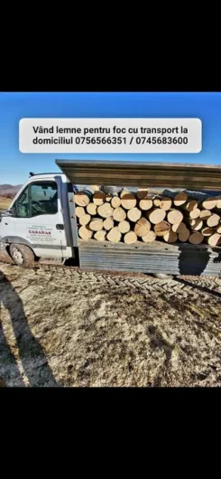 lemn pentru foc