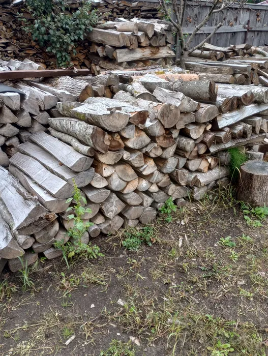 Vând lemne de foc uscate