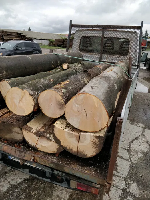 Vand lemn de foc bustean uscat sau verde