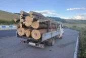 Lemn de Foc FAG ,Cele mai bune preturi !!! Tot judetul Hunedoara !