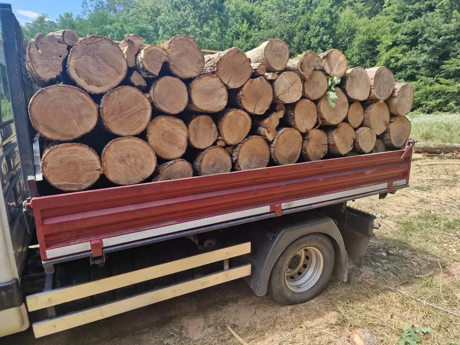 Lemne de foc de vanzare