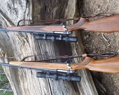 pusca1