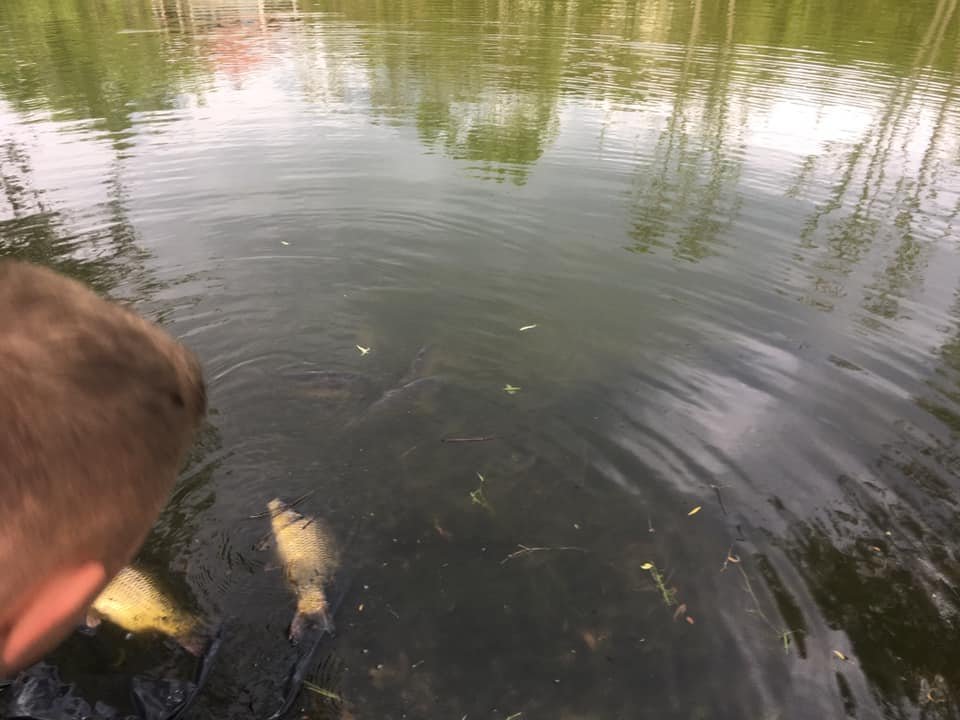 Pensiune & Pastravarie Cheia