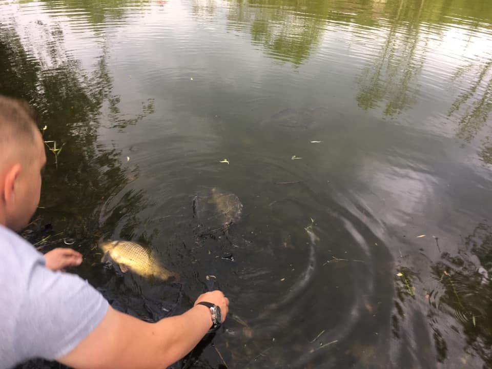 Pensiune & Pastravarie Cheia