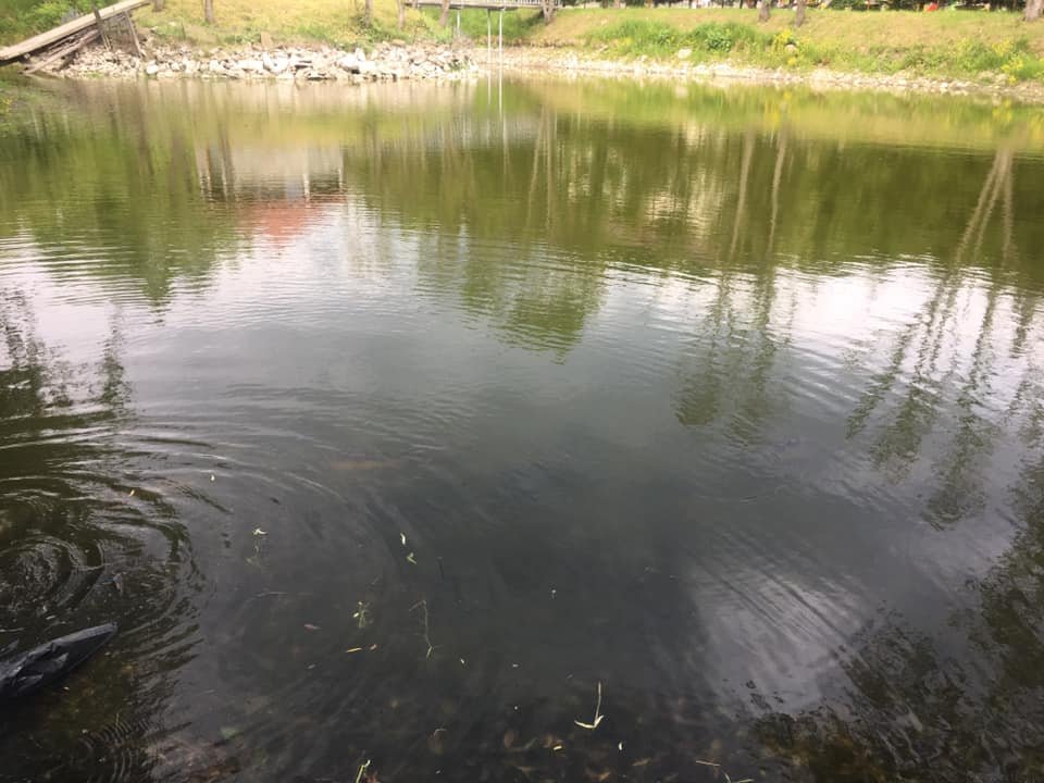 Pensiune & Pastravarie Cheia