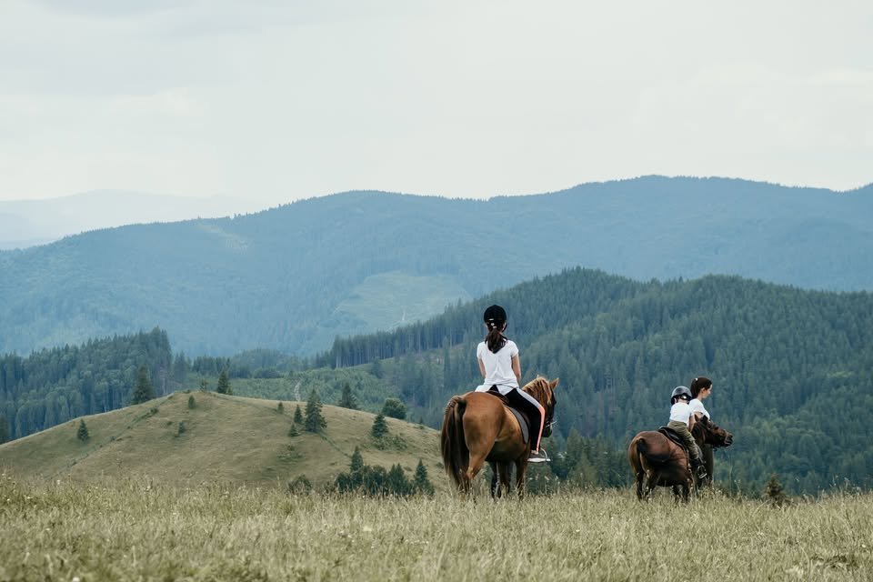 Echitație Pasul Palma