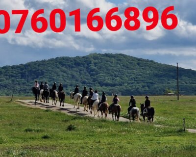 502598641_1395208608715033_8440639937941045692_n