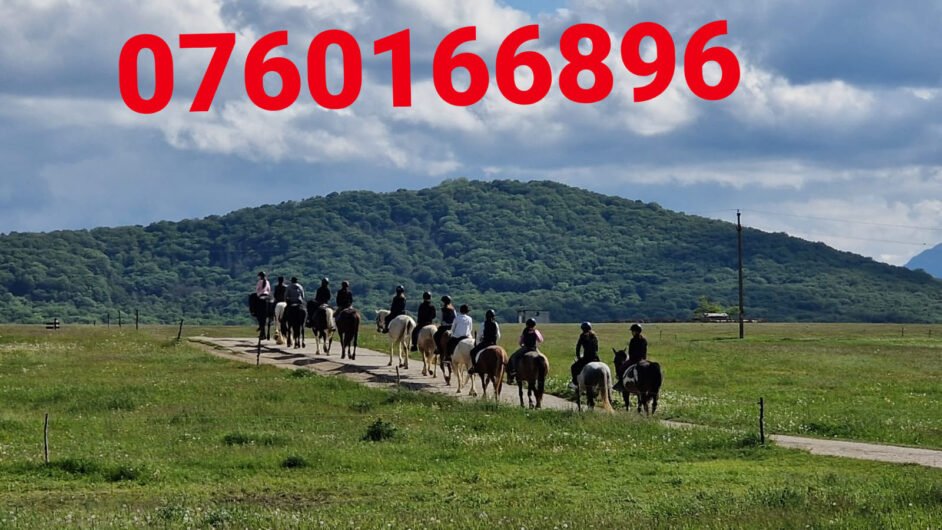 ECHITATIE CISMASU BRASOV 0760166896