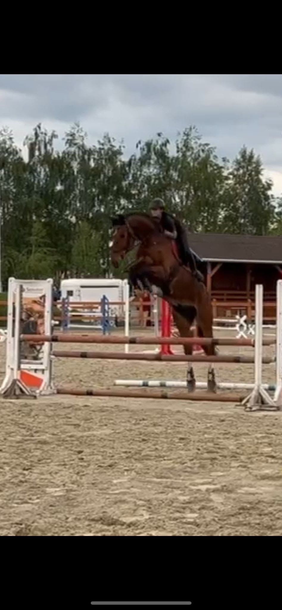 Echitatie Constanta Oituz