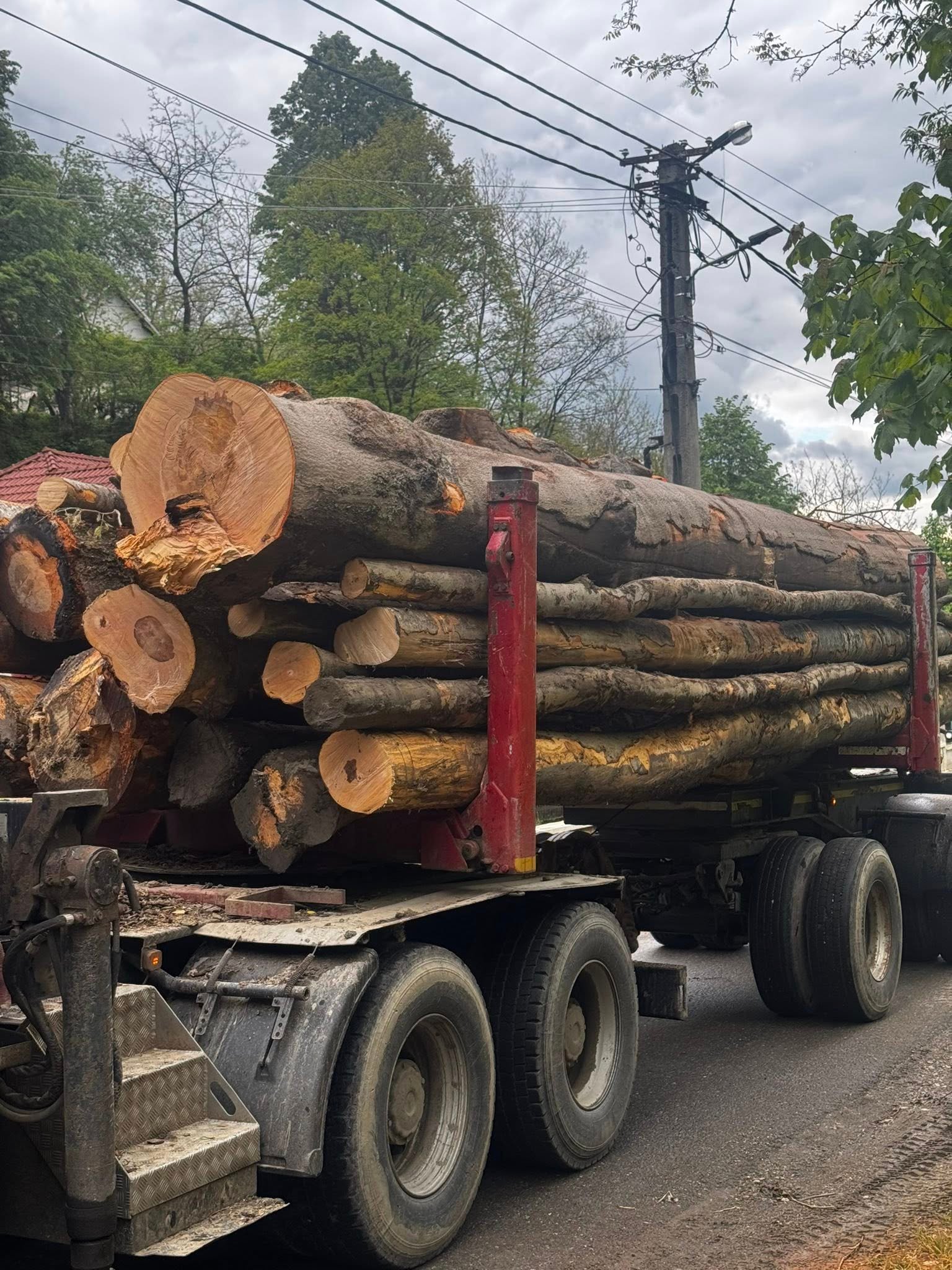 Vând lemn de foc Fag . Preț 450 de lei metrul cub cu transport inclus ! Pentru detalii sunați mă la 0747597358