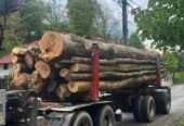Vând lemn de foc Fag . Preț 450 de lei metrul cub cu transport inclus ! Pentru detalii sunați mă la 0747597358