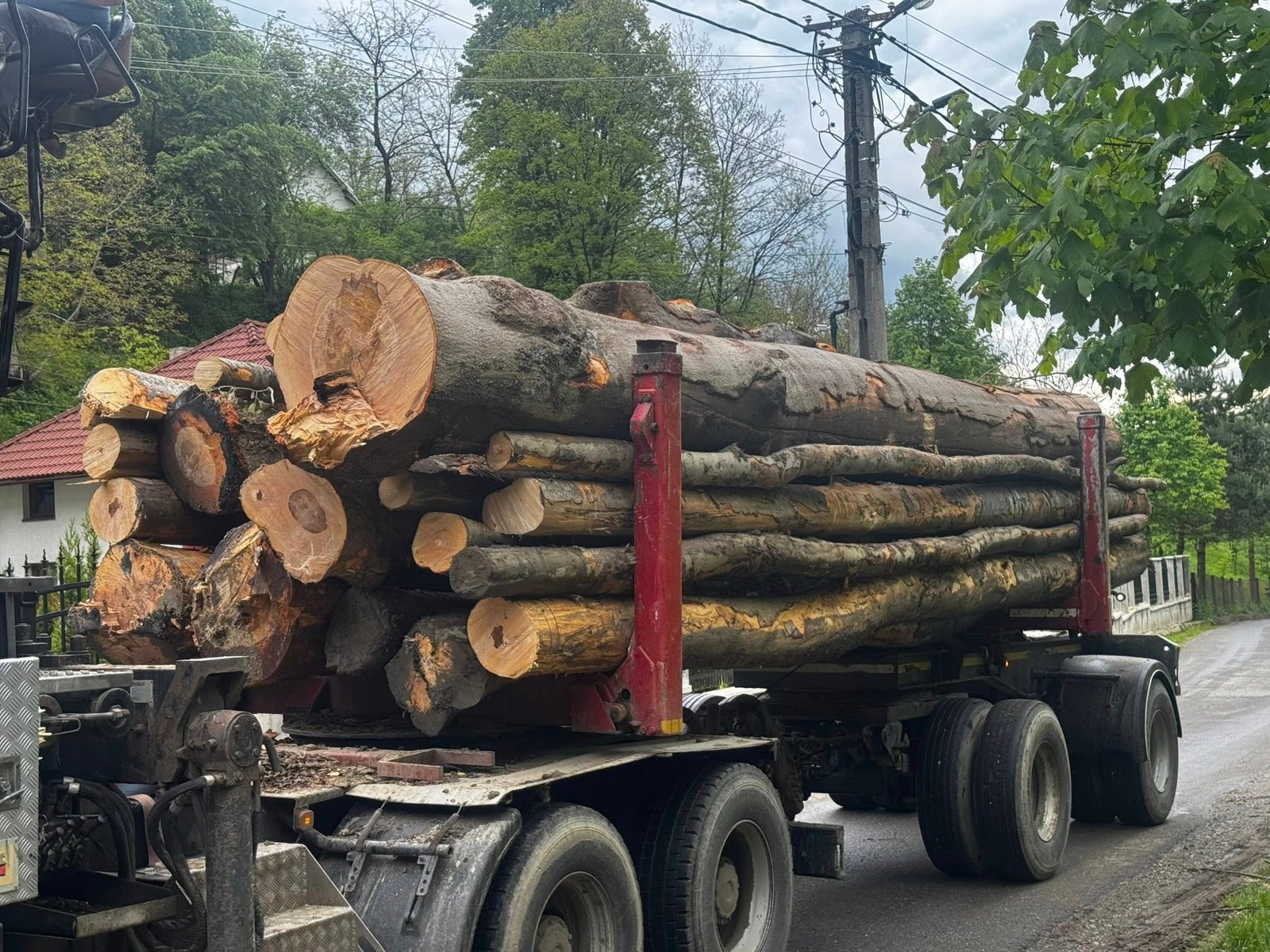 Vând lemn de foc Fag . Preț 450 de lei metrul cub cu transport inclus ! Pentru detalii sunați mă la 0747597358