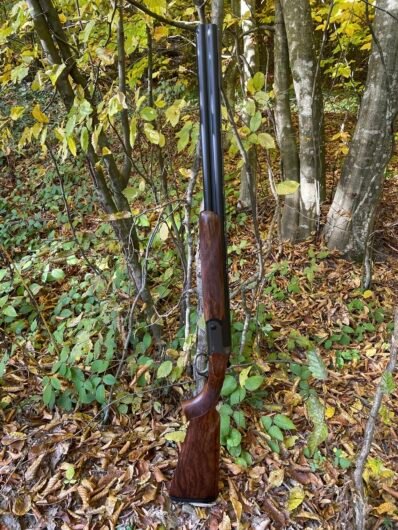 Blaser F16 Game , cal. 12 , lemn grad 3 , are montat reddot, mai multe