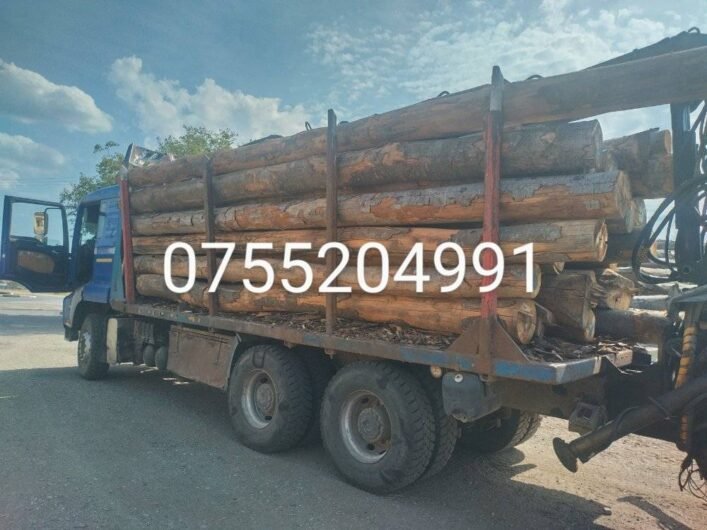 Vindem lemn de foc 0755204991