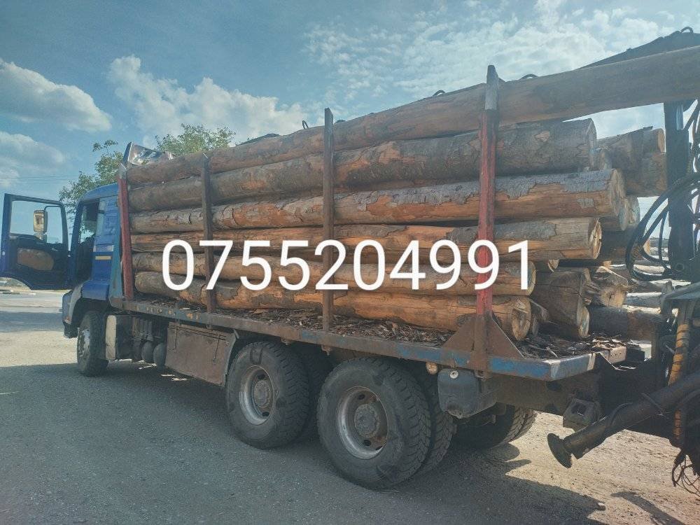 Vindem lemn de foc 0755204991