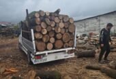 Vând lemn de foc calitate în tot județul Tulcea . 0775329880