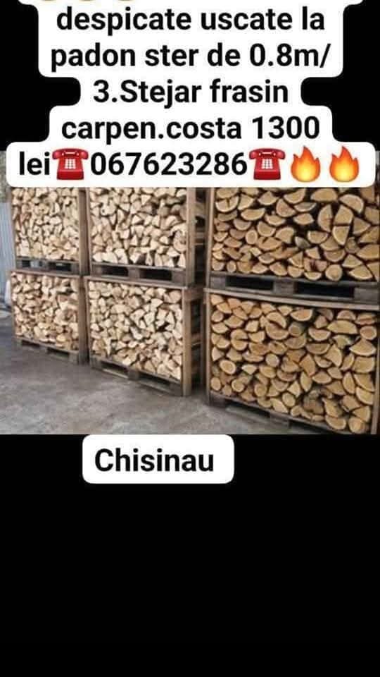 Lemn de foc -Durleşti, Chişinău, Moldova 067623286