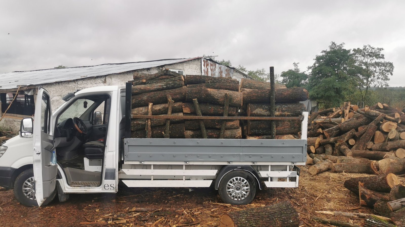 Vând lemn de foc calitate și cantitate în tot județul Constanța 0775329880