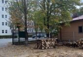 Ocolul Silvic Harsova, oferă spre vânzare lemn de foc esență tare (fag, stejar), perfect pentru sobe , centrale.
